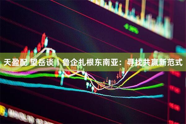 天盈配 望岳谈丨鲁企扎根东南亚：寻找共赢新范式
