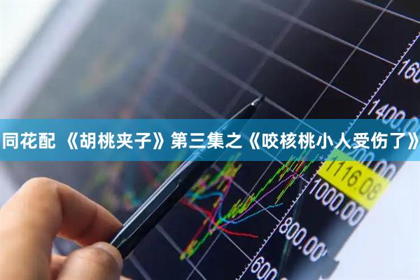 同花配 《胡桃夹子》第三集之《咬核桃小人受伤了》