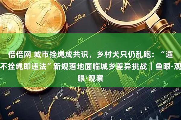 倍倍网 城市拴绳成共识，乡村犬只仍乱跑：“遛狗不拴绳即违法”新规落地面临城乡差异挑战｜鱼眼·观察