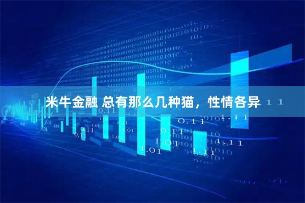 米牛金融 总有那么几种猫，性情各异