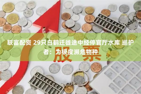 联富配资 29只白鹤迁徙途中经停官厅水库 巡护者：为极度濒危物种