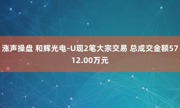 涨声操盘 和辉光电-U现2笔大宗交易 总成交金额5712.00万元