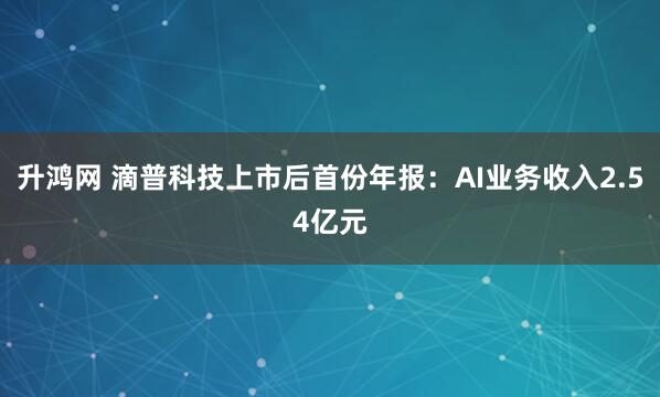 升鸿网 滴普科技上市后首份年报：AI业务收入2.54亿元